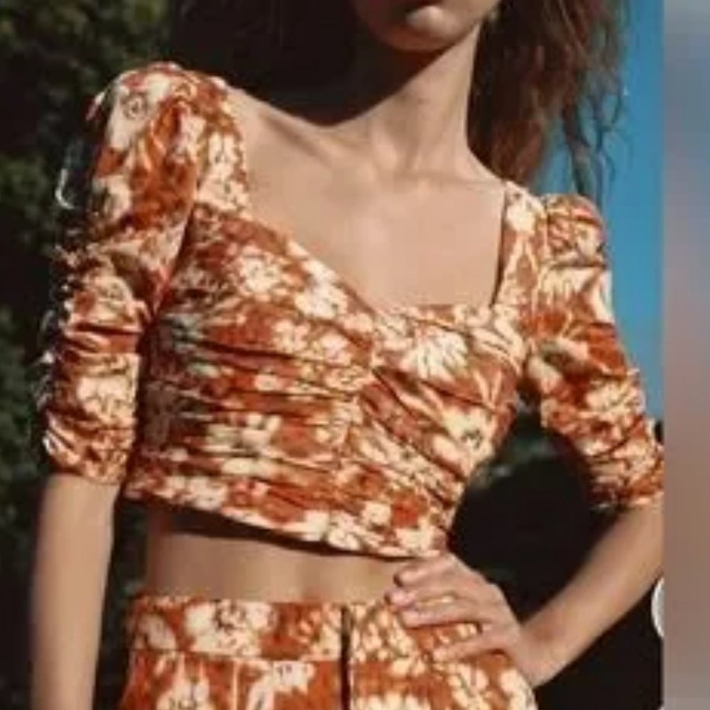 NWOT Zara Ruched Cropped Top
